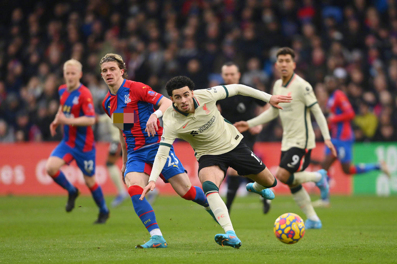 或許正是他 或許正是他